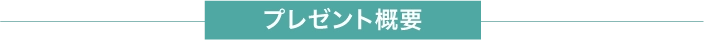 プレゼント概要